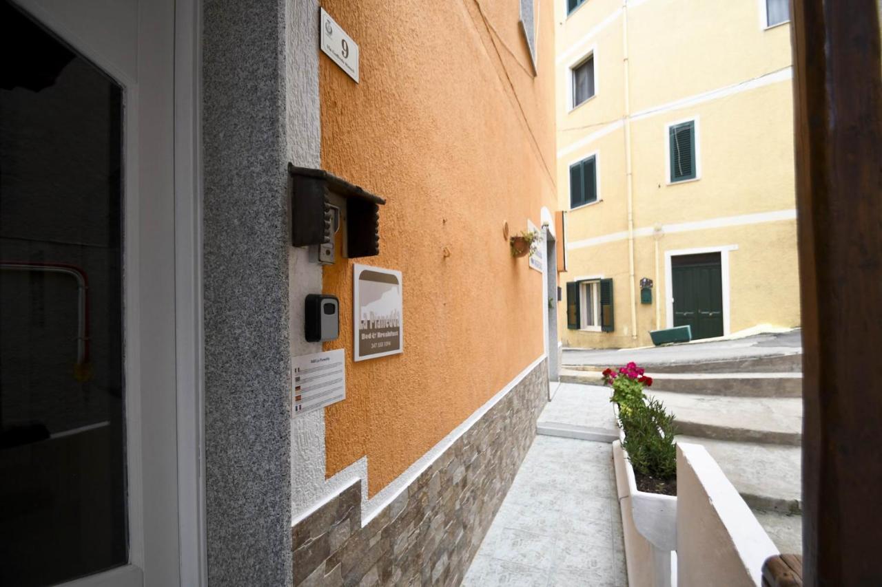 B&B La Pianedda Castelsardo Exteriör bild